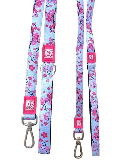 Cherry Bloom Non-retractable Pet Lead FROM $22.95