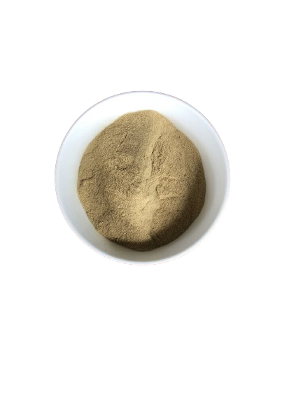 Green Lipped Mussel Powder 80g – Mocca & Co