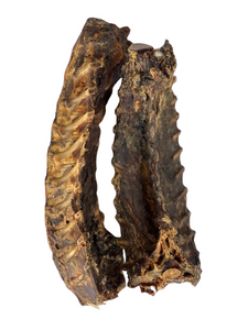 Kangaroo Lumbar - Large