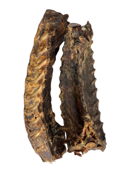 Kangaroo Lumbar - Large