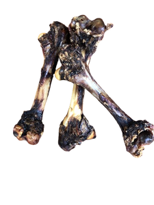 Kangaroo Leg Bone