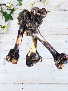 Kangaroo Leg Bone