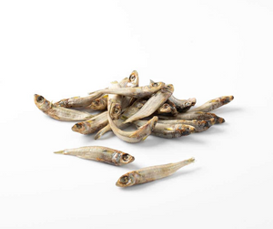 Hardy Head Fish 120g